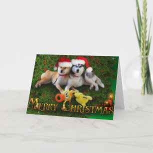 Hundgod julkort helgkort