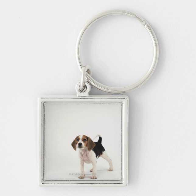Hundhund Fyrkantig Silverfärgad Nyckelring (Framsidan)