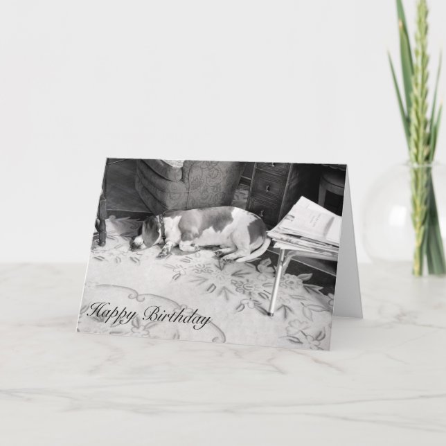 Hundhund Kort (Framsida)