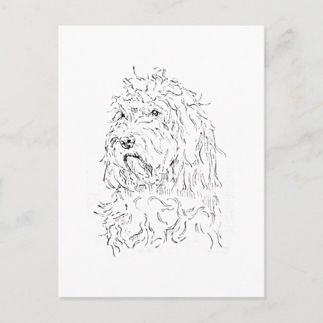 Hundillustration, söt konst Cockapoo Vykort (Framsida)