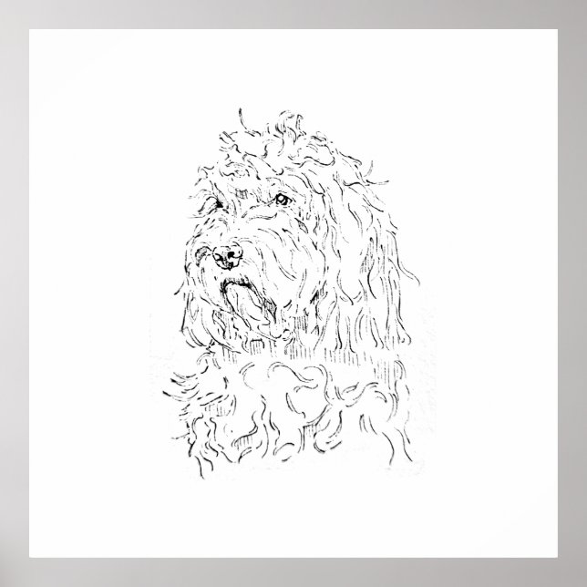 Hundillustration, Vägkonst Cockapoo Poster (Framsidan)
