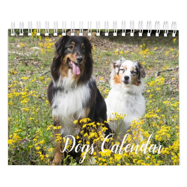 Hundkalender Kalender (Omslag)
