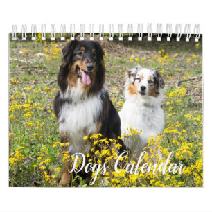 Hundkalender Kalender