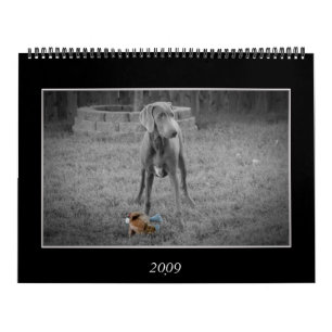 Hundkalender Kalender