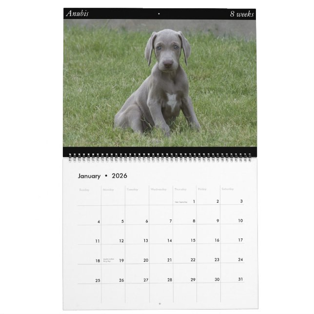 Hundkalender Kalender (Jan 2026)