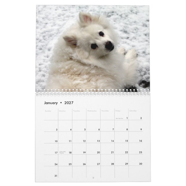 Hundkalender Kalender (Jan 2027)