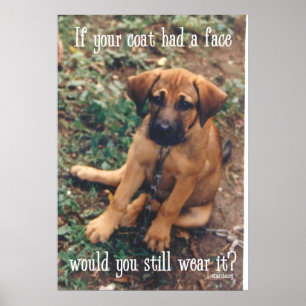 hundlag poster