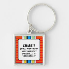 Hundlegitimationmärkren - som är röd med vertikala fyrkantig silverfärgad nyckelring