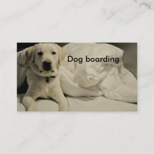 Hundlogi/hundkoja Visitkort
