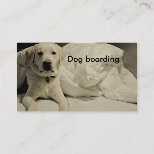 Hundlogi/hundkoja Visitkort (Framsida)