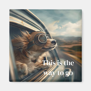 Hundmagnet Magnet
