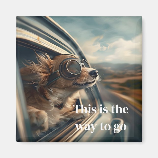 Hundmagnet Magnet (Framsidan)