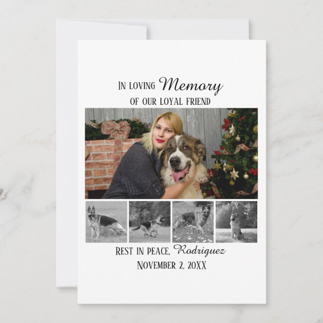Hundminnesmärke 5 Fotokollage Husdjurshyllning Kort (Framsida)