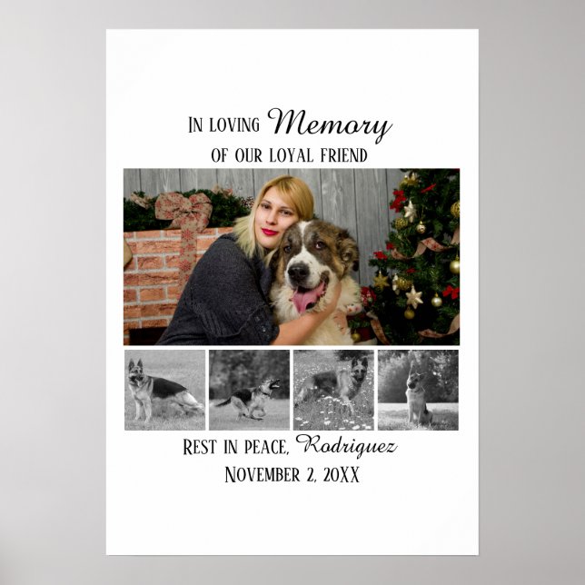 Hundminnesmärke 5 Fotokollage Husdjurshyllning Poster (Framsidan)
