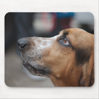 Hundmousepad Musmatta