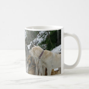 Hundmugg Kaffemugg