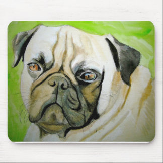 Hundmusen vadderar musmatta