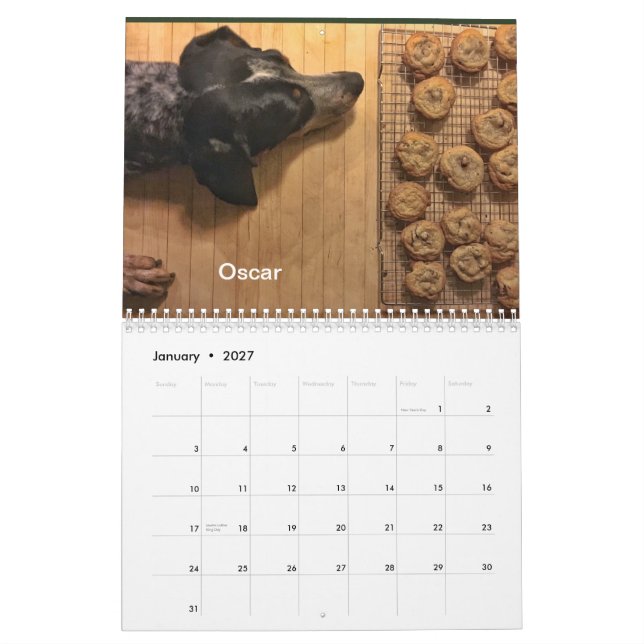 Hundområde 2019/2020 kalender (Jan 2027)