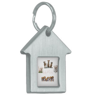 Hundpaket, Roliga Hundpaket ID-bricka Husdjur