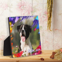 Hundpappa Penseldrag Design Husdjur Foto
