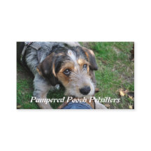 Hundpathos som petsitting