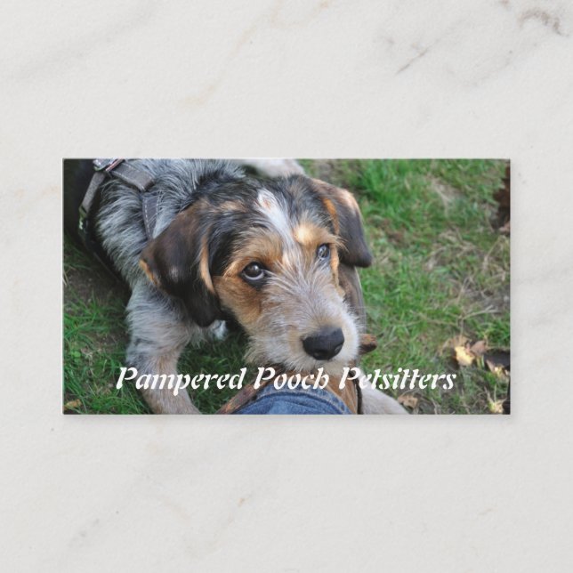 Hundpathos som petsitting visitkort (Framsida)