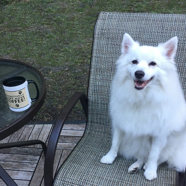 Hundpaw typografi Kaffeälskares söta specialdesign Mugg (Dog Paw Typography Coffee Lover's Cute Specialty Mug)