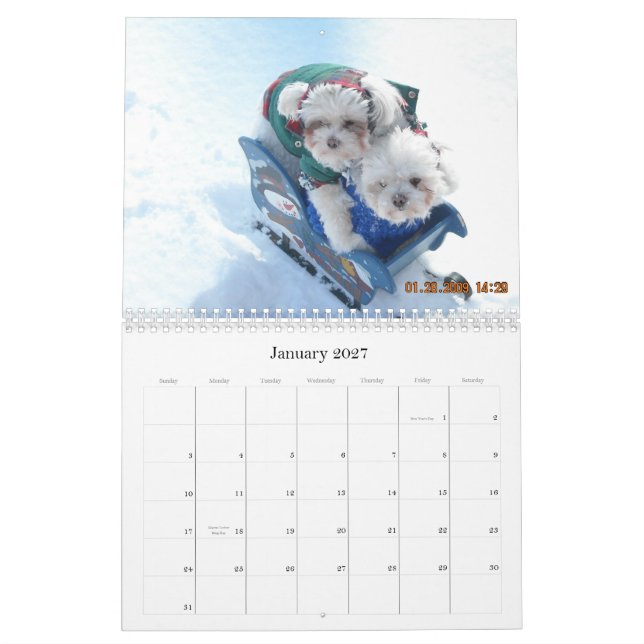 HundPawfile kalender 2010 (Jan 2027)