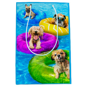 Hundpoolparty