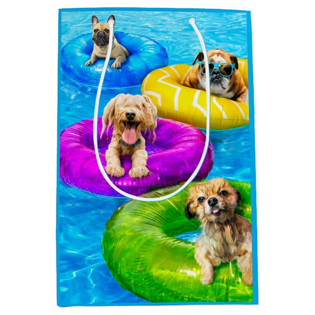 Hundpoolparty (Framsidan)