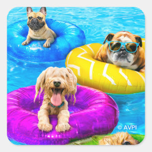Hundpoolparty Fyrkantigt Klistermärke