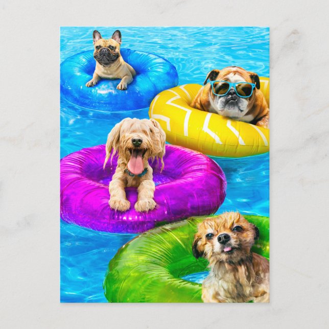 Hundpoolparty Inbjudan Vykort (Framsida)