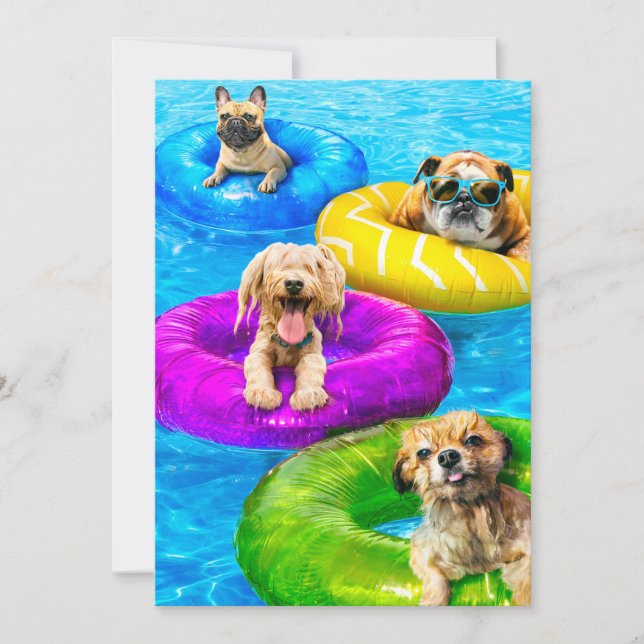 Hundpoolparty Inbjudningar (Framsida)