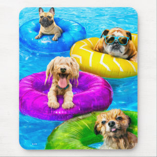 Hundpoolparty Musmatta