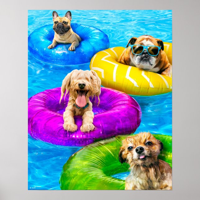Hundpoolparty Poster (Framsidan)
