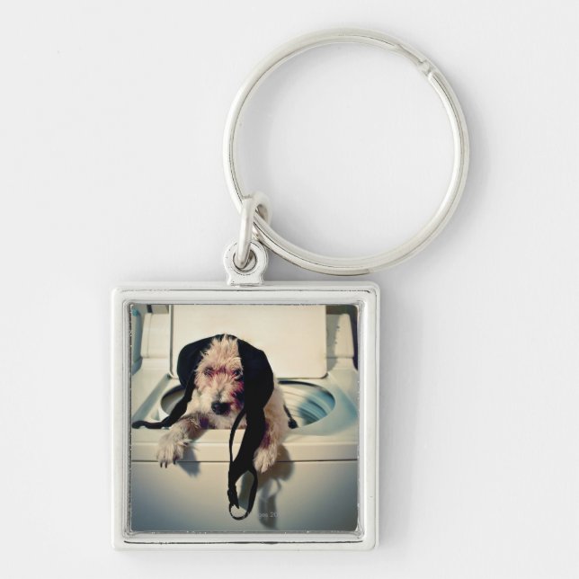 Hundportion ut med tvätta fyrkantig silverfärgad nyckelring (Framsidan)