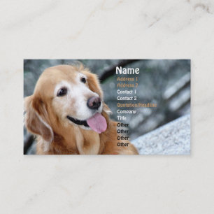 Hundporträtt/le guld- Retrieverfotografi Visitkort