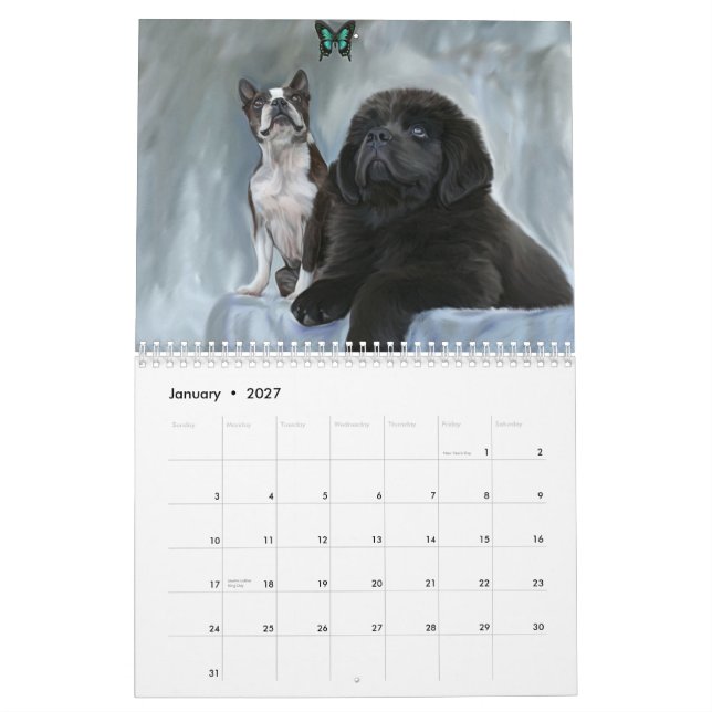 Hundporträttkalender Kalender (Jan 2027)