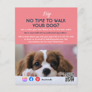 hundpromenad husdjurssittning husdjunstjänst groom flygblad