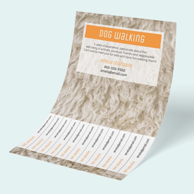 Hundpromenerare Flyers Professionell Minimal Pappe (Vibrant colorful advetising flyer for dog walking business with tearable tabs with contact info.)