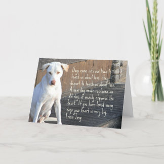 HundQuotationkort Tack Kort