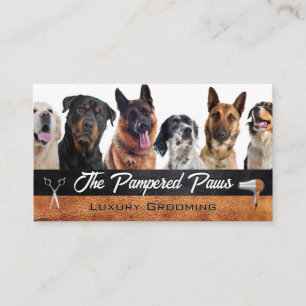 Hundraser Pet Grooming Verktyg Visitkort