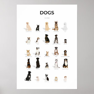 Hundraser-samling Poster