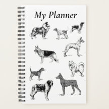 Hundrasers-planerare