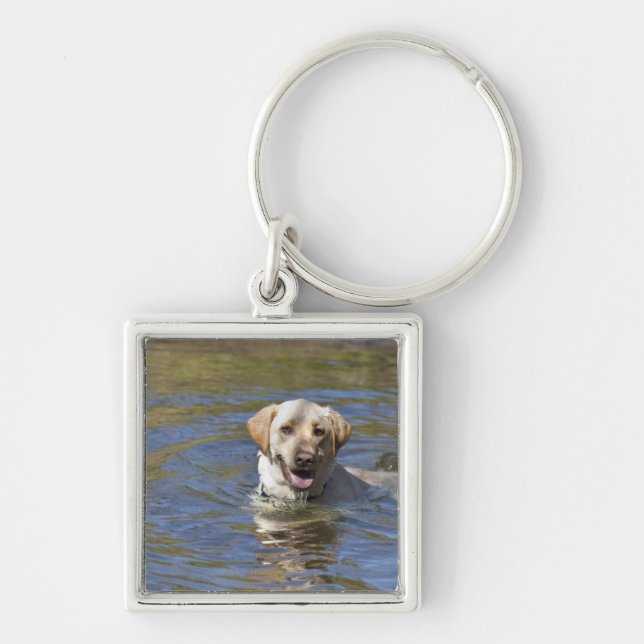 Hundsimning Fyrkantig Silverfärgad Nyckelring (Framsidan)