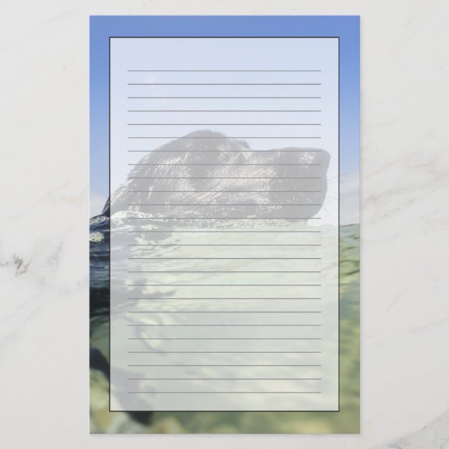 Hundsimning i vatten brevpapper (Framsida)