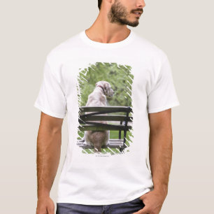Hundsitta parkerar på tar av planet t-shirt