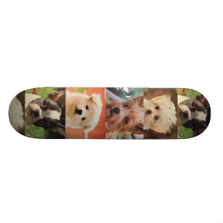 Hundskateboard Mini Skateboard Bräda 18,5 Cm