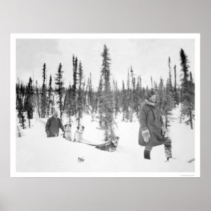 HundSledmanar Fairbanks 1920 Poster