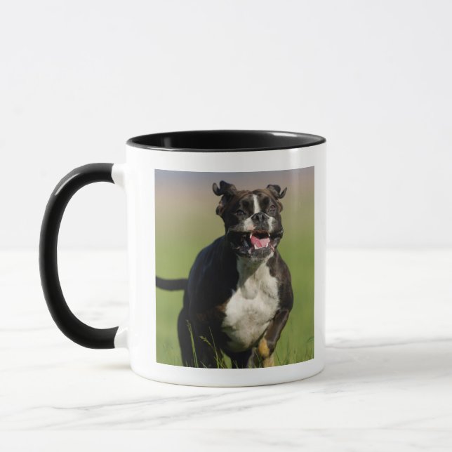Hundspring Mugg (Vänster)